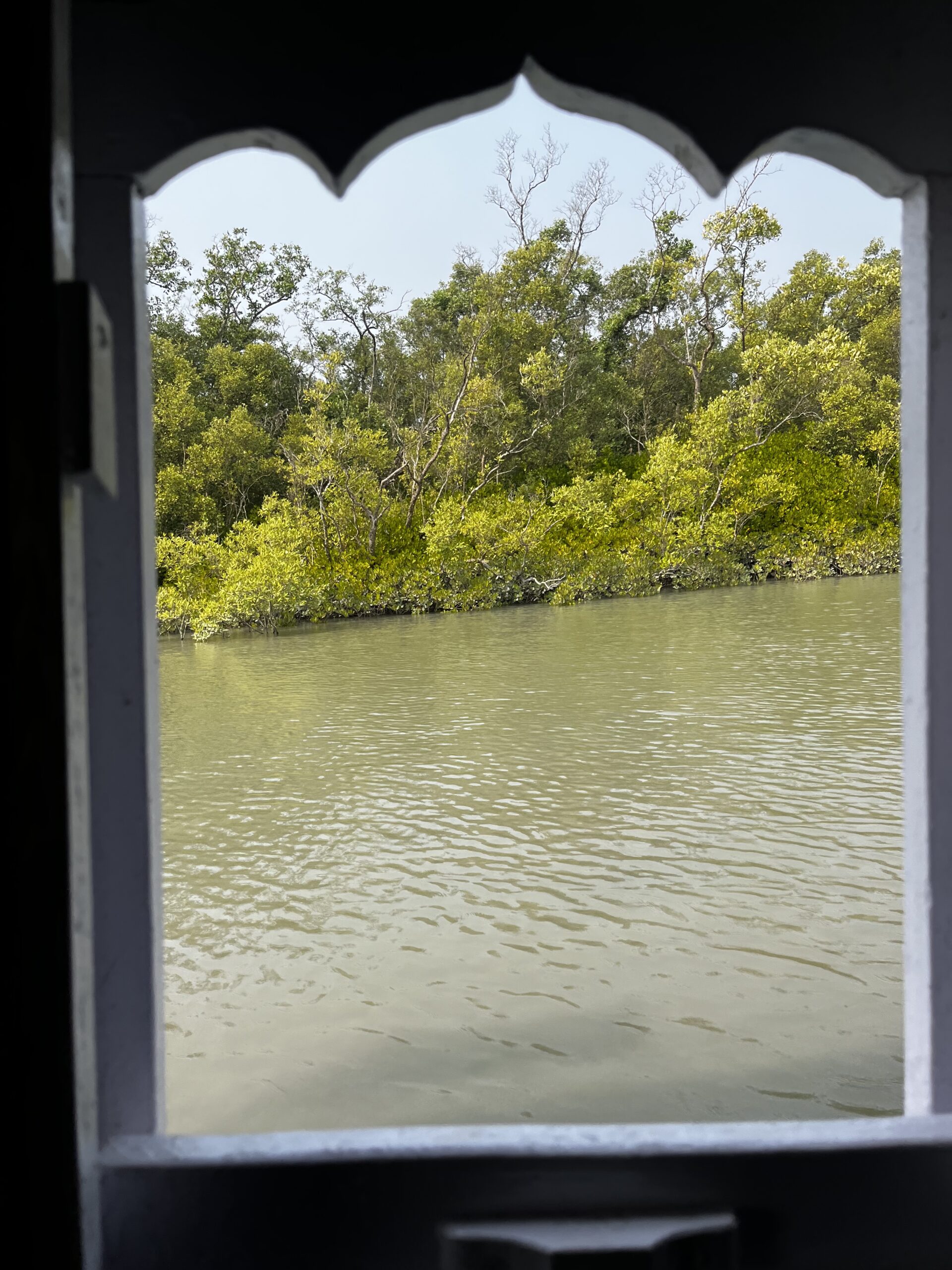 The Sundarbans in morning fog — a few metres of grey, then the world simply ended.