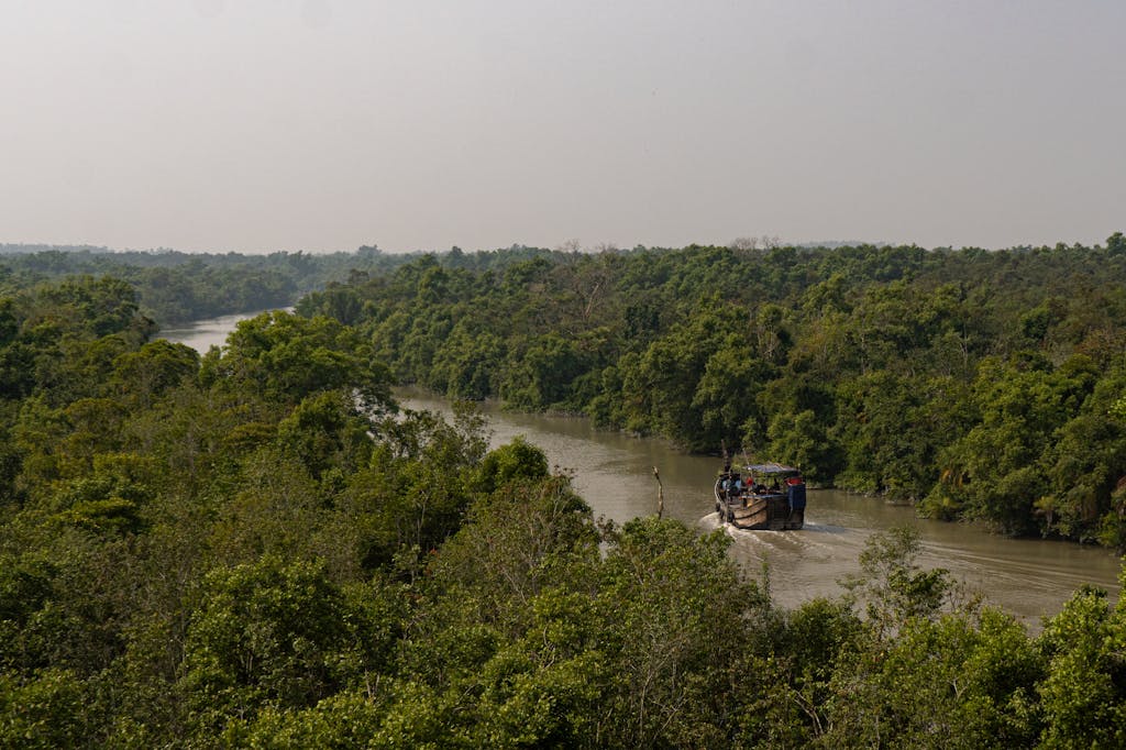A boat navigates through a lush, green river surrounded by dense forest, creating a serene nature scene.