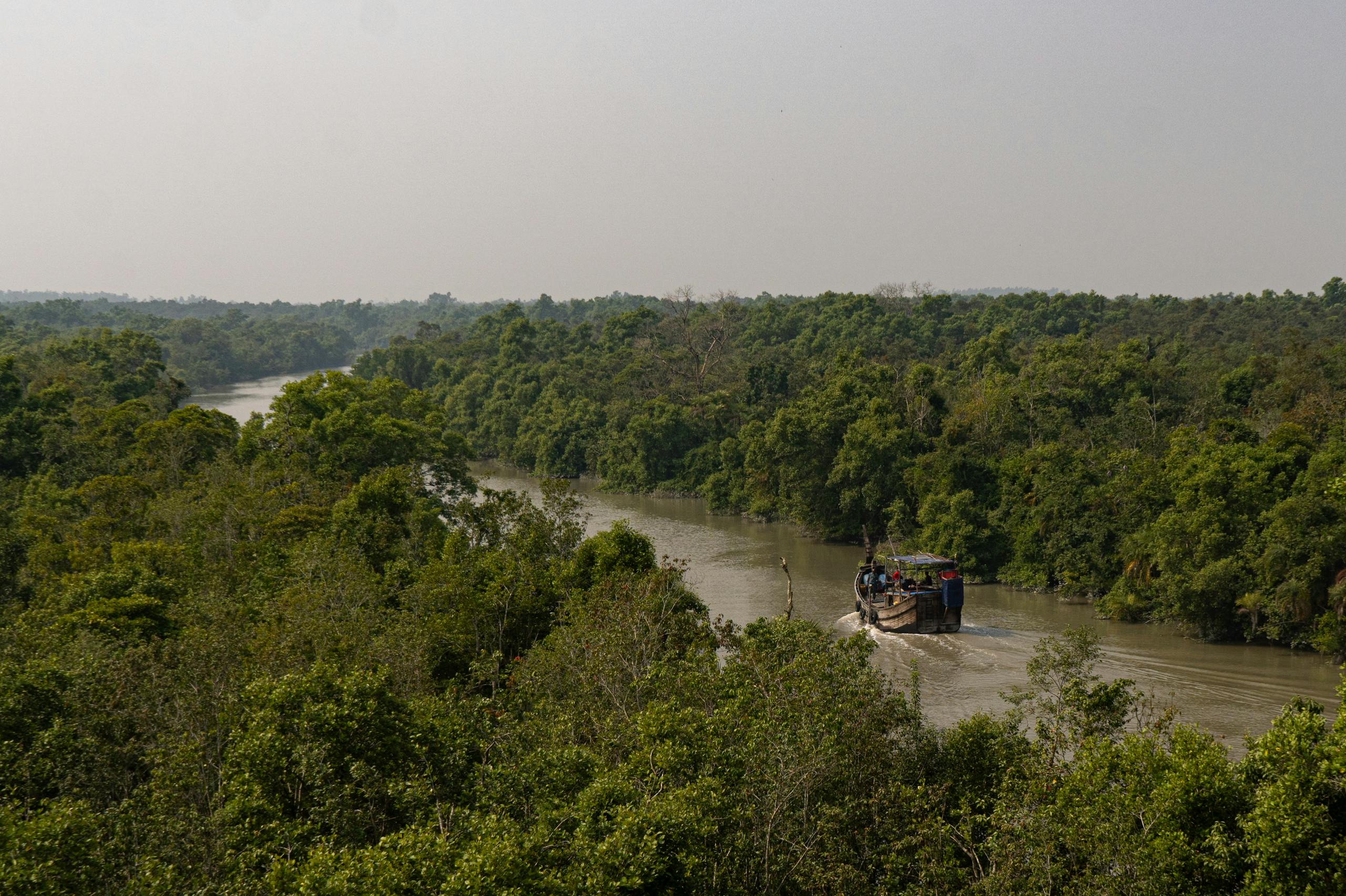 A boat navigates through a lush, green river surrounded by dense forest, creating a serene nature scene.