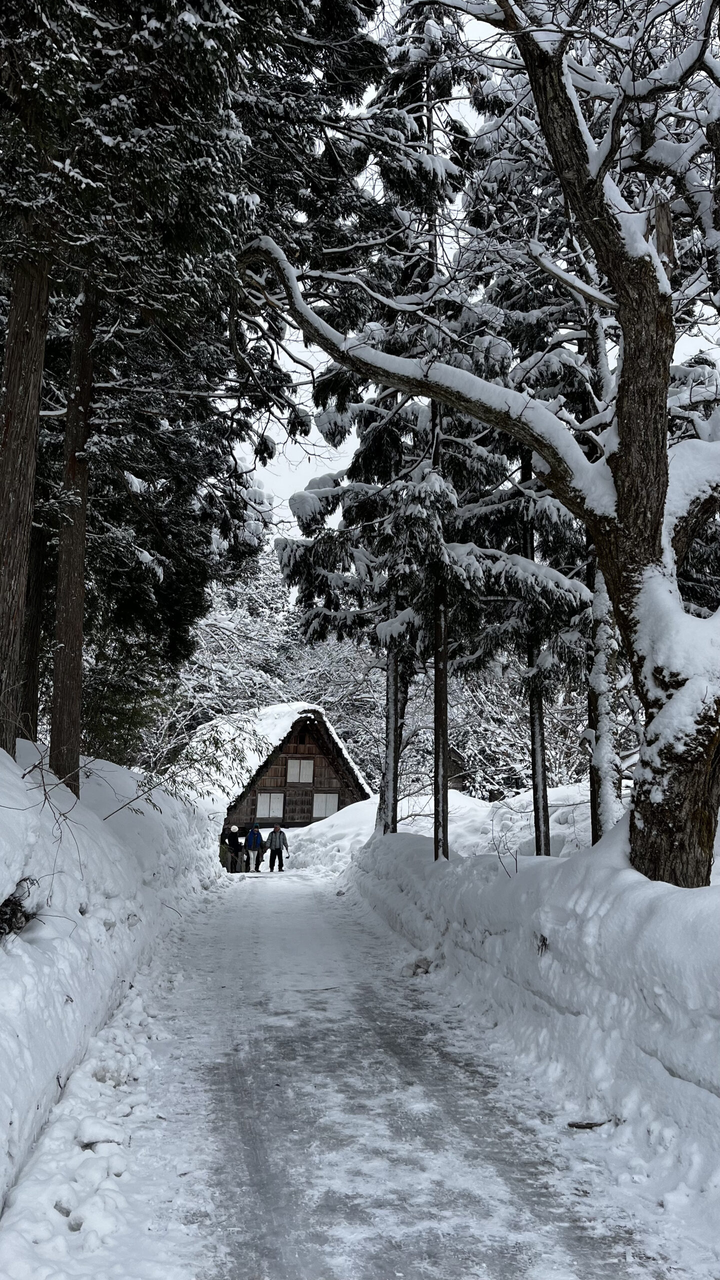 Snow-lined forest path leading to a gassho farmhouse in Shirakawa-go — day trip from Kanazawa in winter