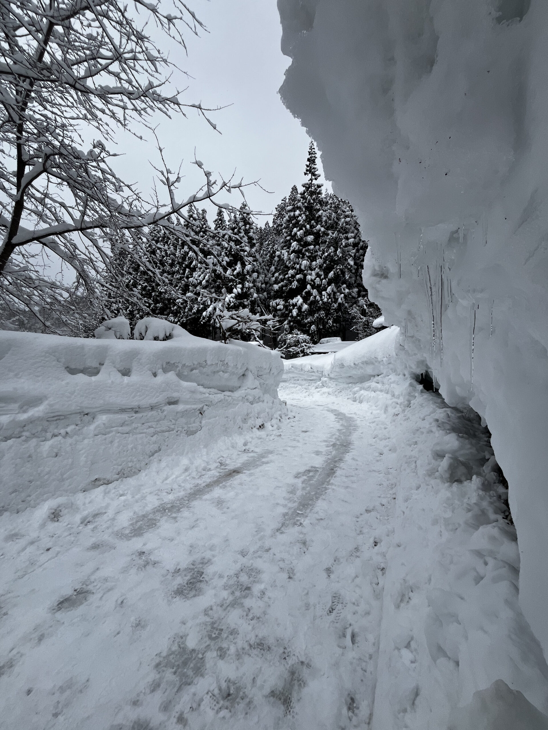 Towering snow walls lining a narrow path in Shirakawa-go village during heavy winter snowfall
